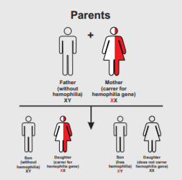 hemophilia